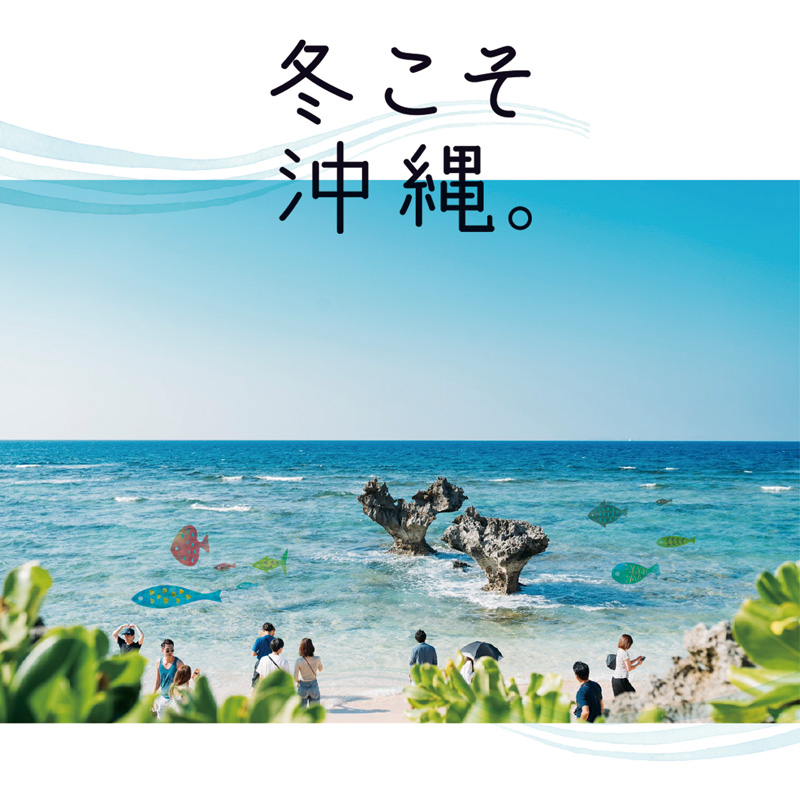 沖縄の観光シーズンは冬が一番！？