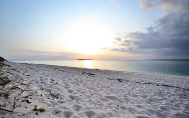 冬のOKINAWA おすすめスポット