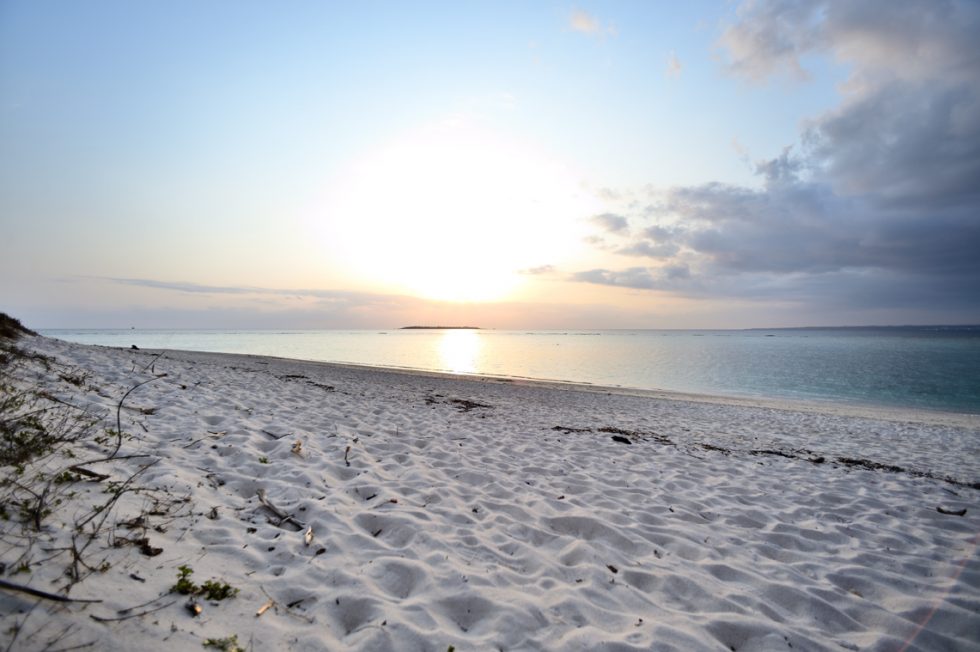 冬のOKINAWA おすすめスポット