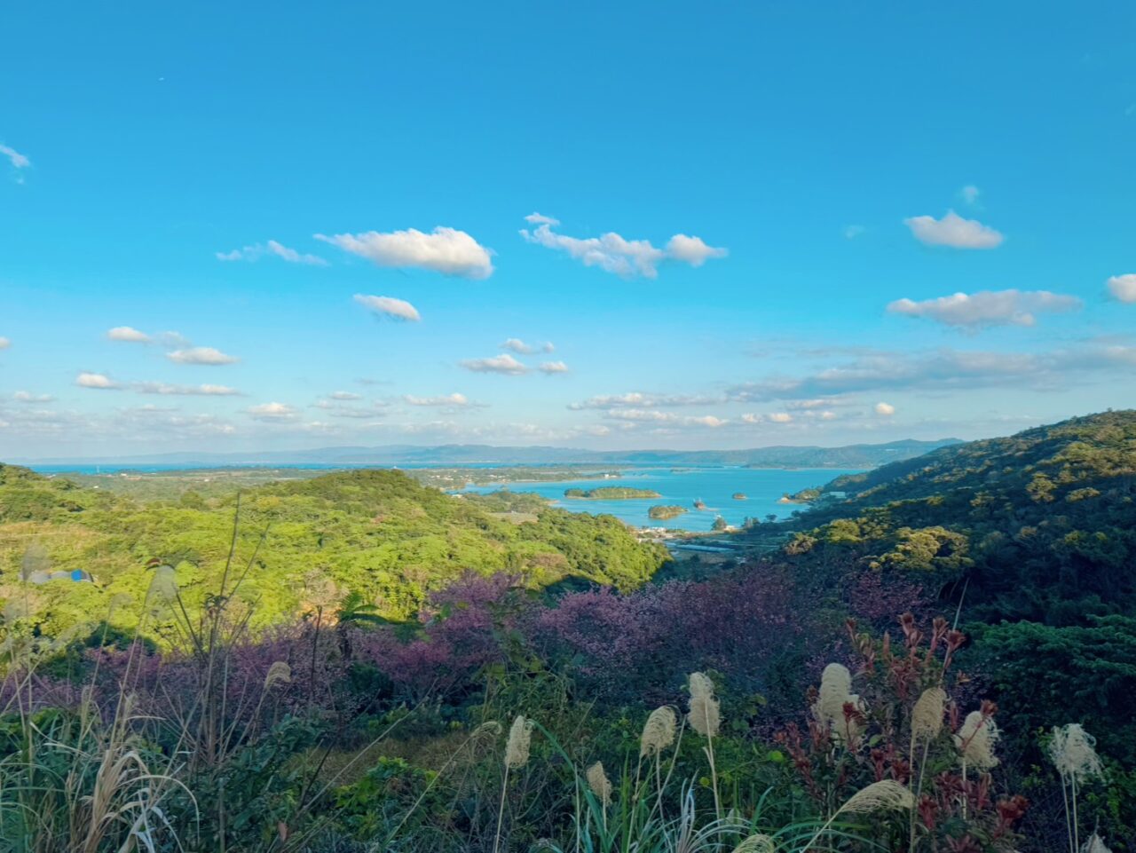秋の沖縄